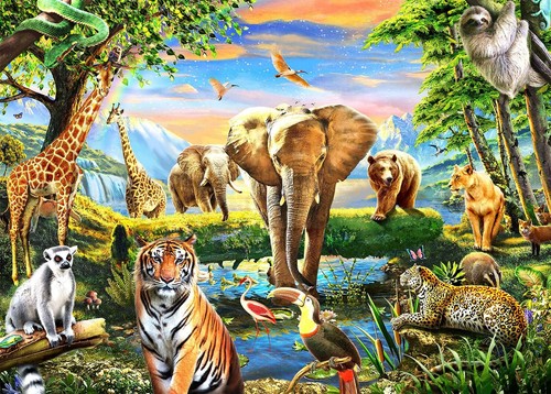 Jigsaw puzzles 1000 pieces for - jigsaw,